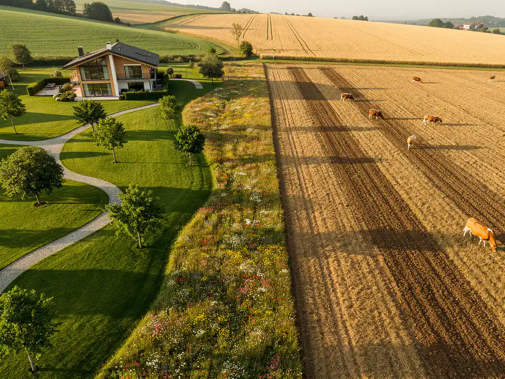 Luchtfoto van luxe vakantieresort met chalet grenzend aan gouden landbouwgrond met grazend vee, gescheiden door wilde bloemen.