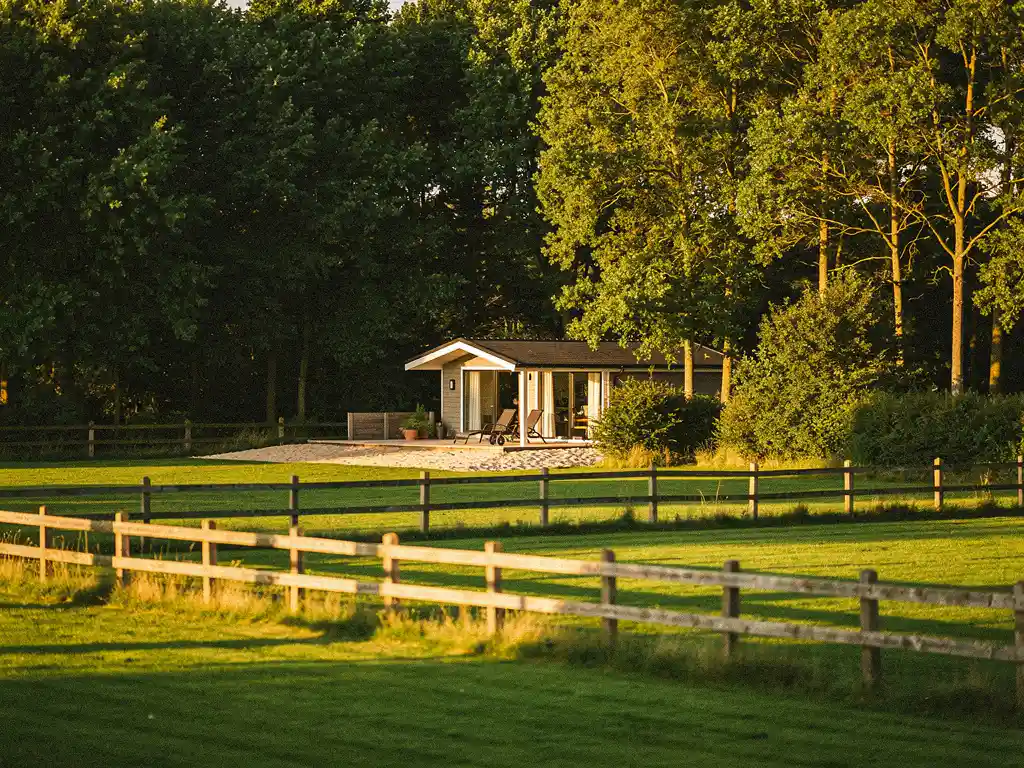 Luxe vakantiechalets tussen hoge groene bomen op een zonnig recreatiepark aan de Nederlandse kust.