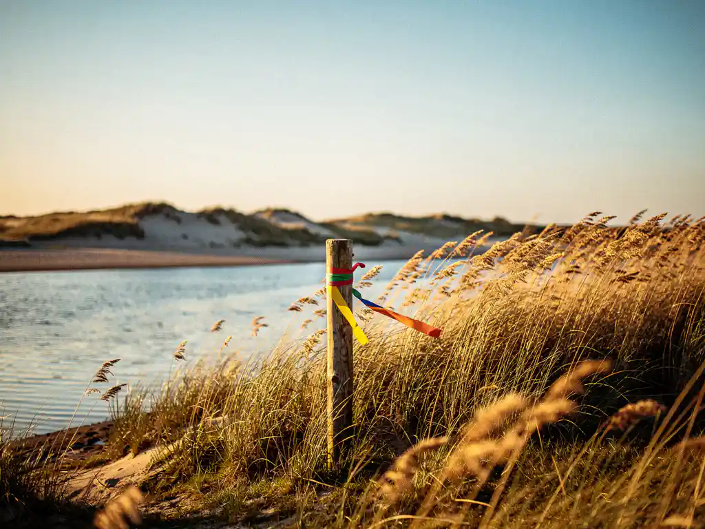 Gouden rietgras wuift bij een rustige Zeeuwse estuary, met een verweerde houten paal en landmeetlint die een kavel markeren, duinen en zee op de achtergrond.